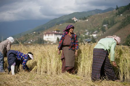 Bhutan Dragon Tours