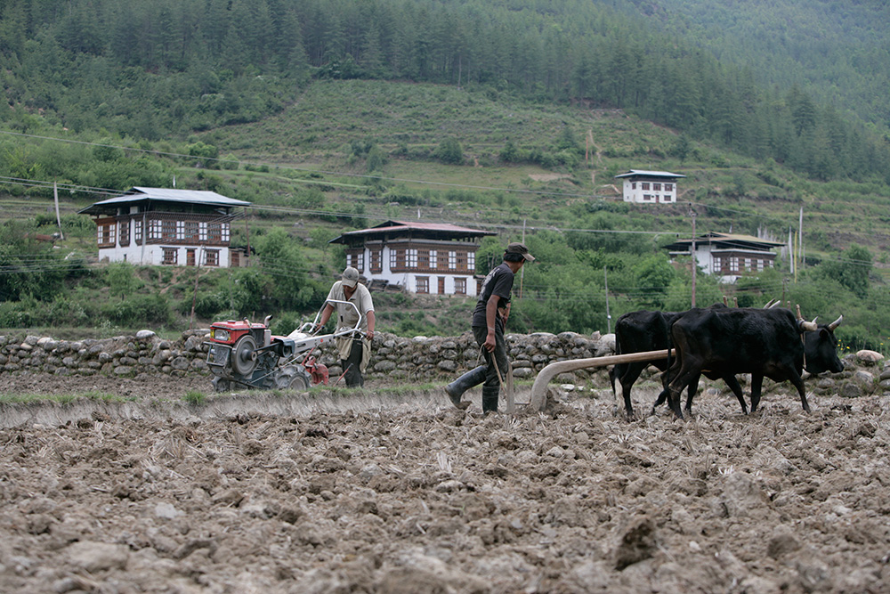 Dorji Phalam Travels